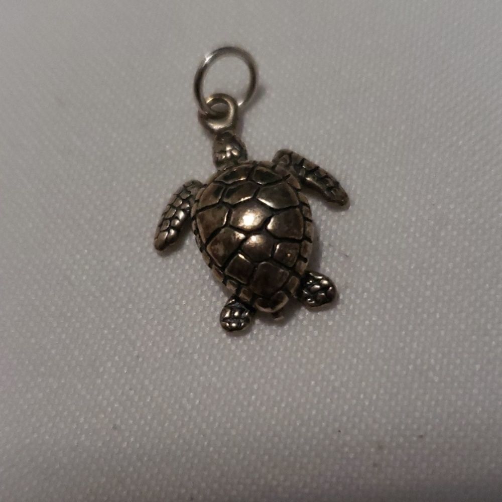 Several loose pendants/ butterfly turtle heart - Picture 4 of 6